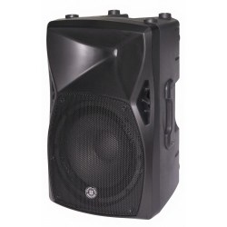 12'' 2 Yollu Pasif Kabin Hoparlör - Topp Pro