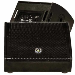 12-2 Yollu RMS 415 Watt Program 830 Watt Monitör Tipi Kabin Hoparlör - Topp Pro