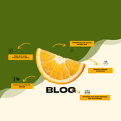 3faz Blog Yazıları