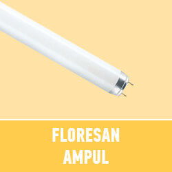 9- FLORESAN AMPUL.jpg (7 KB)