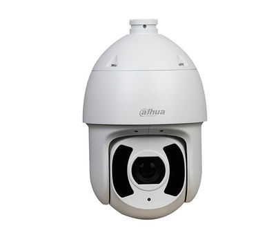 Dahua 2 MP H.265+ 30x Starlight Speed Dome Kamera(250m IR)-SD6CE230U-HNI - 1