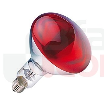 Ledvance Infrared Ampul-Kırmızı 250w-150w - 1