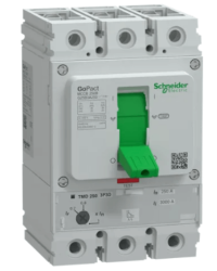 GoPact 250B Serisi Ayarlanabilir Kompakt Şalter 3 Kutup 250A 380V AC - Schneider Electric