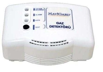 Methane (Natural Gas) Detector, 12/24V DC, With Relay Output - 1