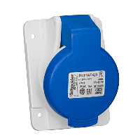 Schneider 3x16a, Monofaze, 2p+T, Ip44, Vidalı, Eğik Makine Prizi Pkf16f423 - Schneider Electric