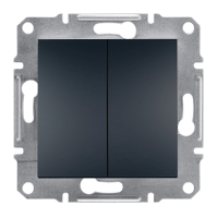 Schneider Asfora Anthracite Two-Way Switch 