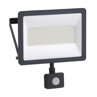 Schneider Electric LED flood light 5000 lumen 50W 6500K - 1