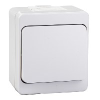 Schneider Surface Mounted Vavien Nemliyer - Schneider Electric
