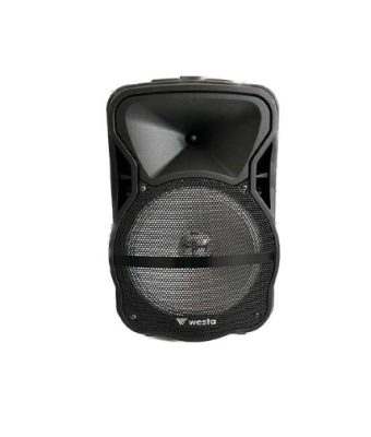 Westa WAP-1053E 10 inç 150W Şarjlı Aktif Kabin Hoparlör - Telsiz El Mikrofonlu - 1