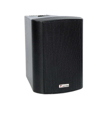 Westa WS-4TB 4 inç 100W Trafolu Profesyonel Kabin Hoparlör Siyah - İkili Takım - 1