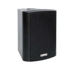 Westa WS-5TB 5.25 inç 125W Trafolu Profesyonel Kabin Hoparlör Siyah - İkili Takım - Westa