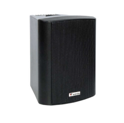 Westa WS-5TB 5.25 inç 125W Trafolu Profesyonel Kabin Hoparlör Siyah - İkili Takım - 1